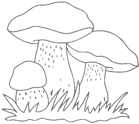 Coloriage 23 Champignons