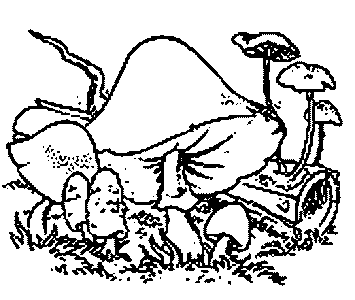 Coloriage 32 Champignons