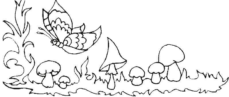 Coloriage 33 Champignons