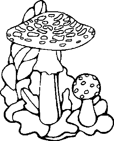 Coloriage 9 Champignons