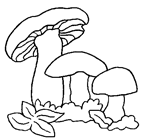 Coloriage Champignons 19