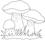 Coloriage Champignons 23