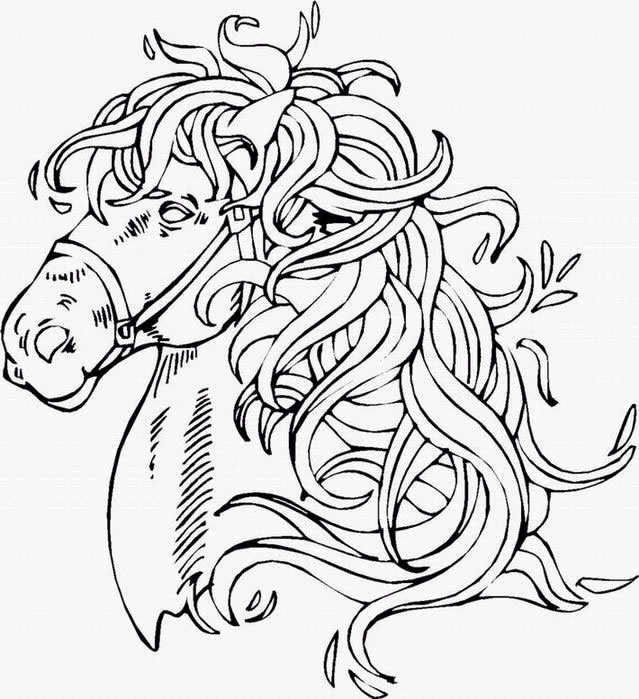 Coloriage 124 Chevaux