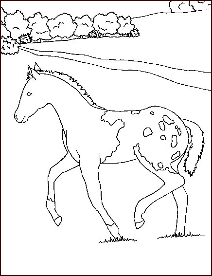 Coloriage 134 Chevaux