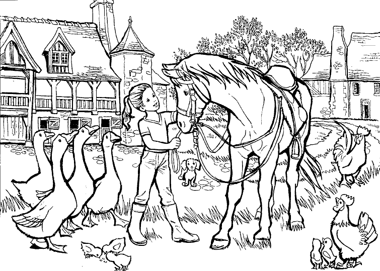 Coloriage 17 Chevaux