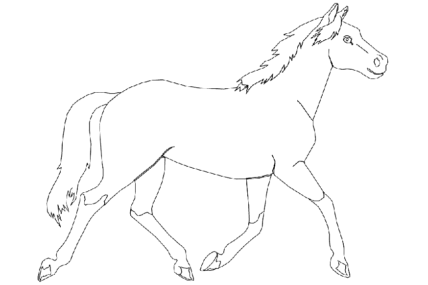 Coloriage 19 Chevaux