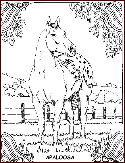 Coloriage 22 Chevaux