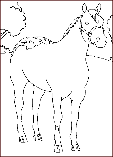 Coloriage 26 Chevaux