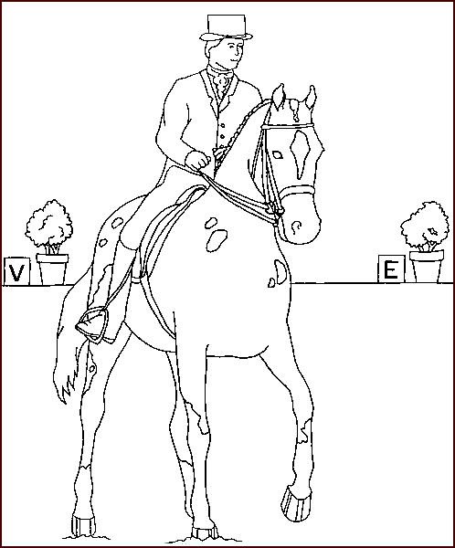 Coloriage 28 Chevaux