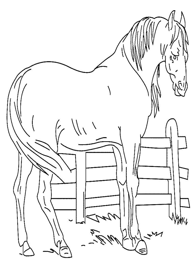 Coloriage 30 Chevaux