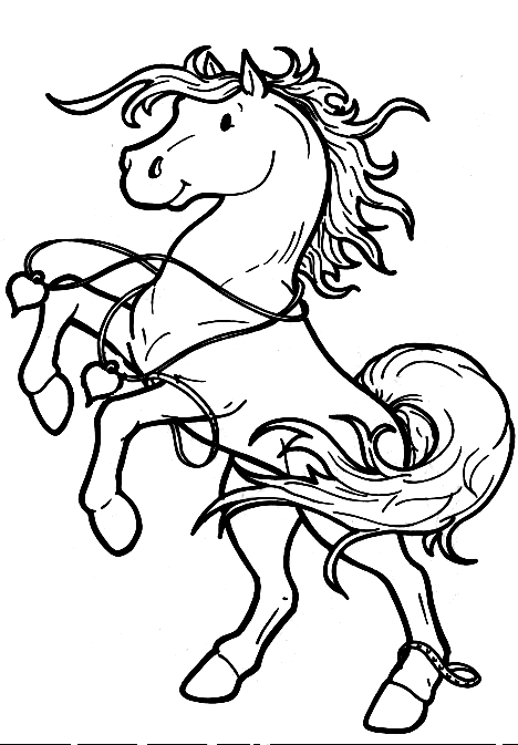 Coloriage 32 Chevaux