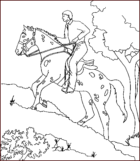 Coloriage 35 Chevaux