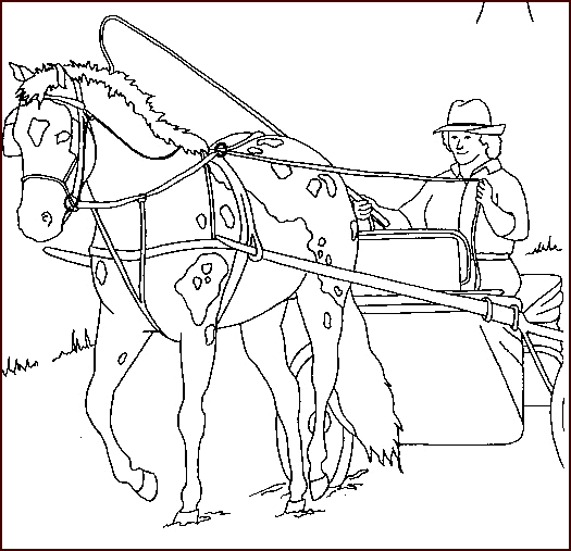 Coloriage 38 Chevaux