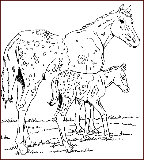 Coloriage 39 Chevaux