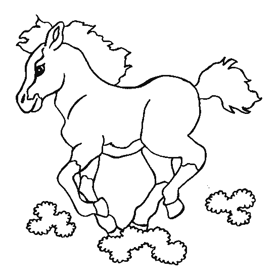 Coloriage 49 Chevaux