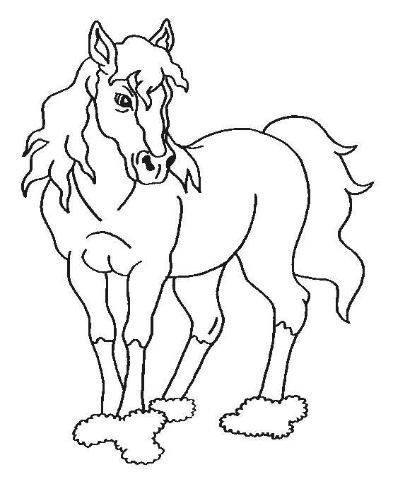 Coloriage 51 Chevaux