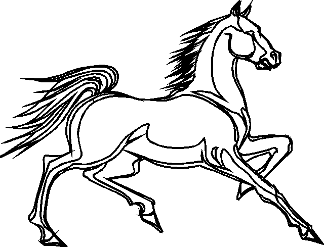 Coloriage 54 Chevaux