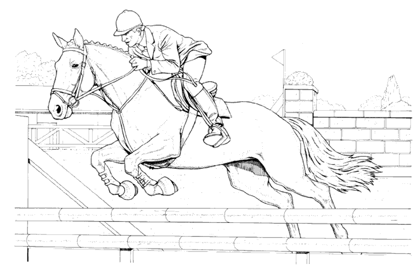 Coloriage 70 Chevaux