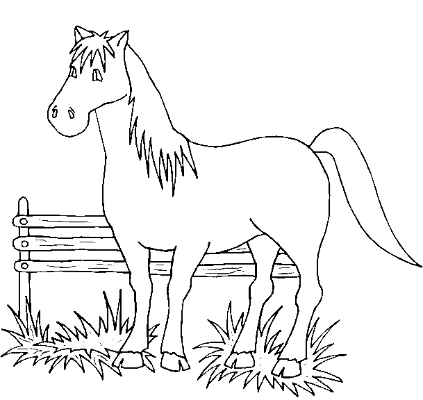 Coloriage 82 Chevaux