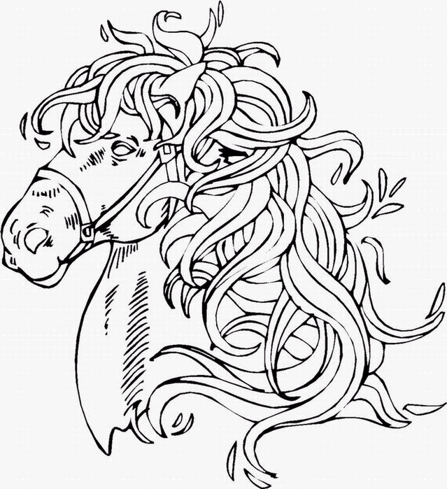 Coloriage 85 Chevaux