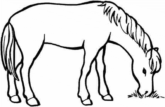 Coloriage 88 Chevaux