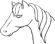 Toutes les catégories de coloriages Chevaux