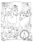 Coloriage Chevaux 104