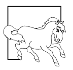 Coloriage Chevaux 34