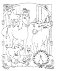 Coloriage Chevaux 58