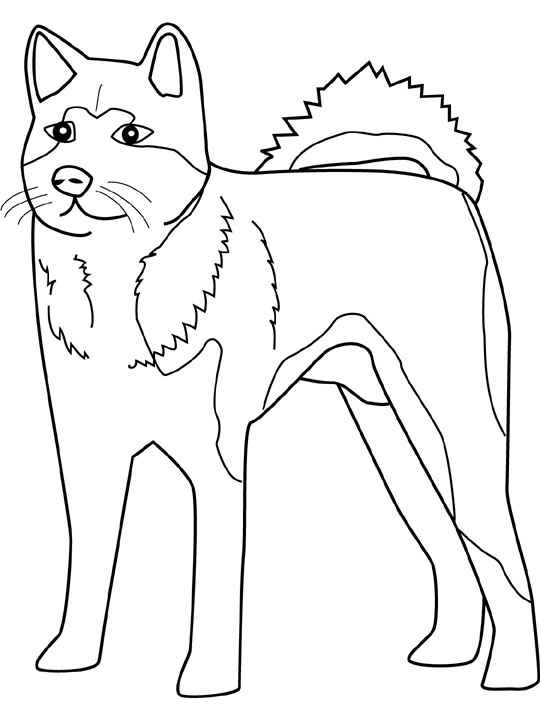 Coloriage 22 Chiens