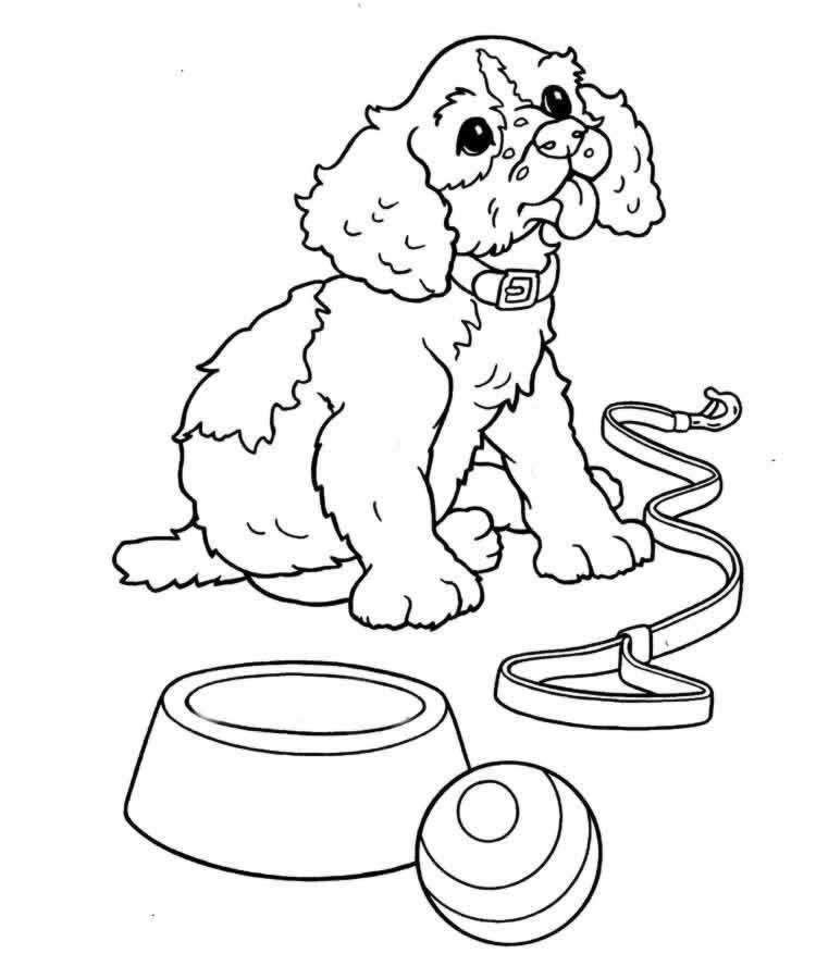 Coloriage 39 Chiens