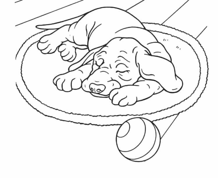 Coloriage 51 Chiens