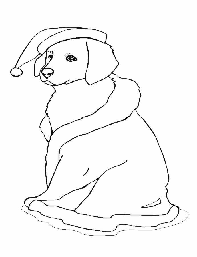 Coloriage 53 Chiens