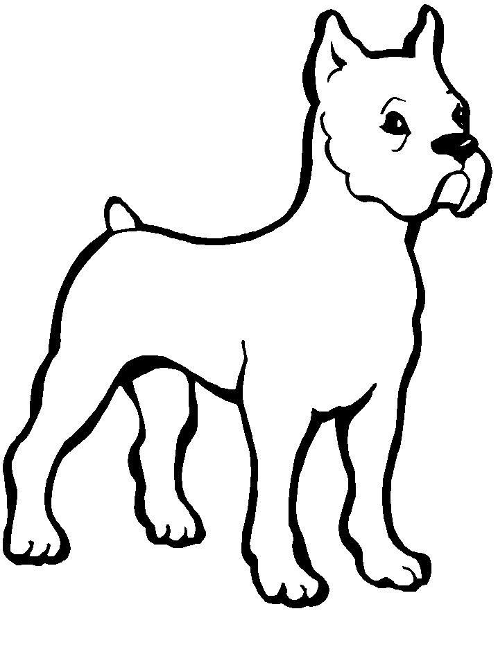 Coloriage 78 Chiens