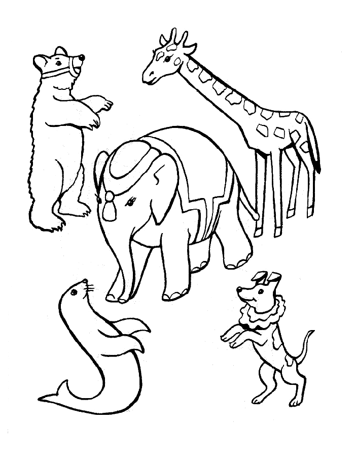Coloriage 57 Cirque