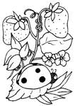 Coloriage Coccinelles 5