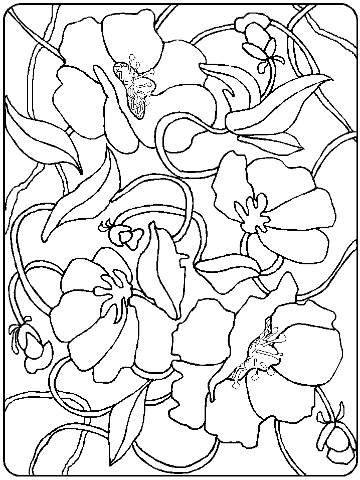 Coloriage 3 Commemoration