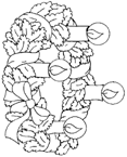 Coloriage Couronnes de noel 20