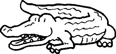 Coloriage 23 Crocodiles