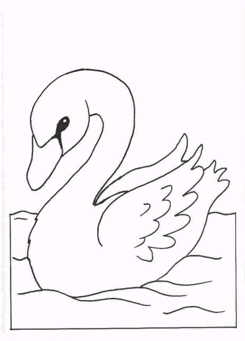 Coloriage 2 Cygnes