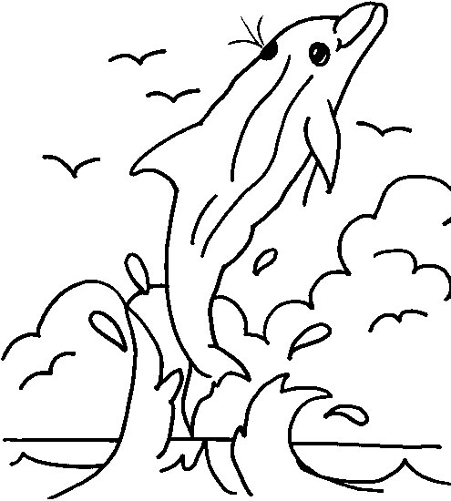 Coloriage 23 Dauphins