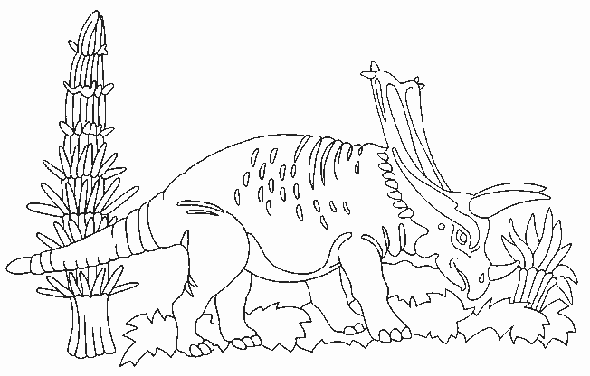 Coloriage 25 Dinosaures