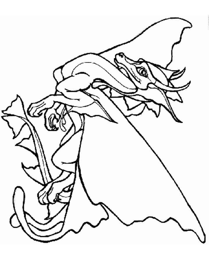 Coloriage 17 Dragons