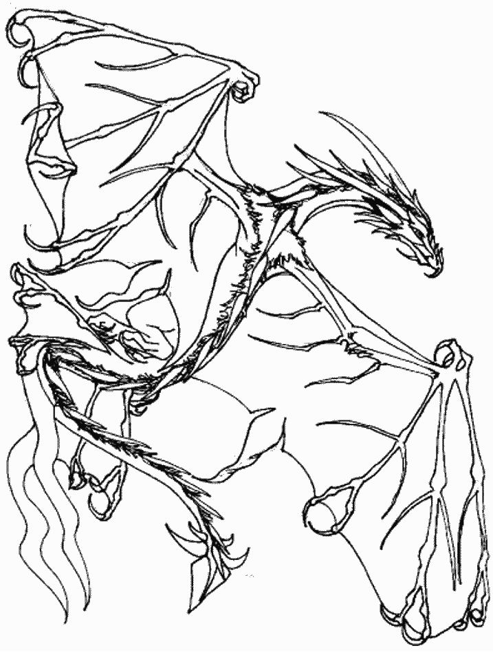 Coloriage 18 Dragons