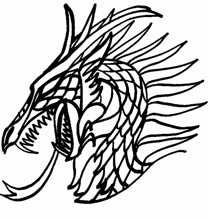 Coloriage 19 Dragons