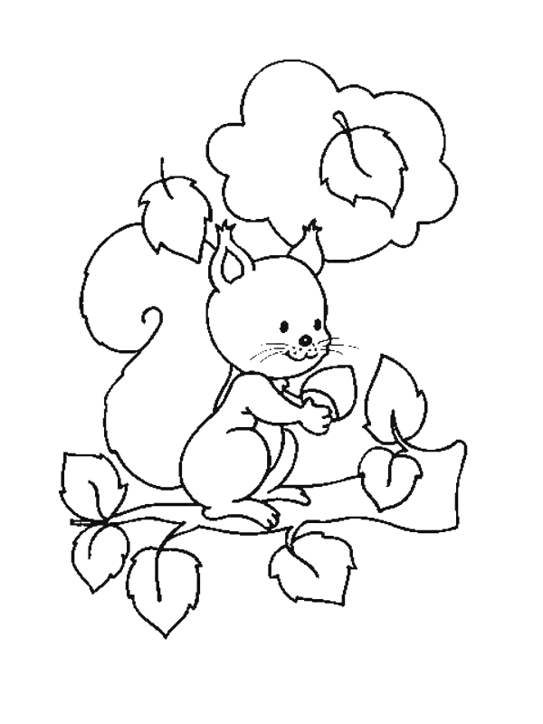 Coloriage 37 Ecureuil