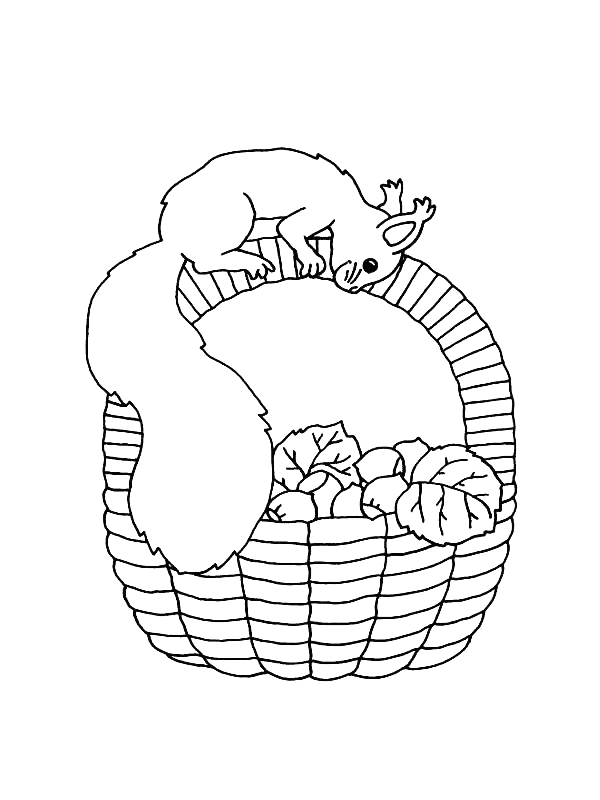 Coloriage 40 Ecureuil