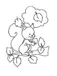 Coloriage Ecureuil 37