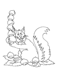 Coloriage Ecureuil 39