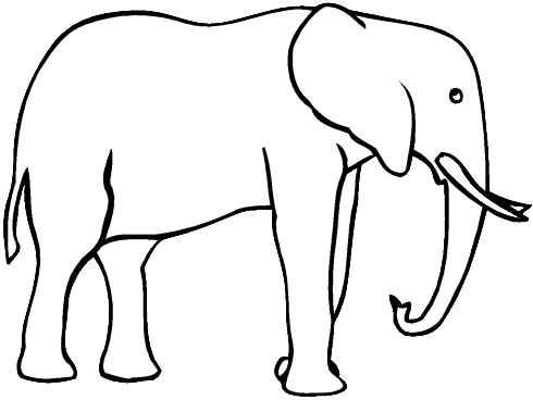 Coloriage 14 Elephants